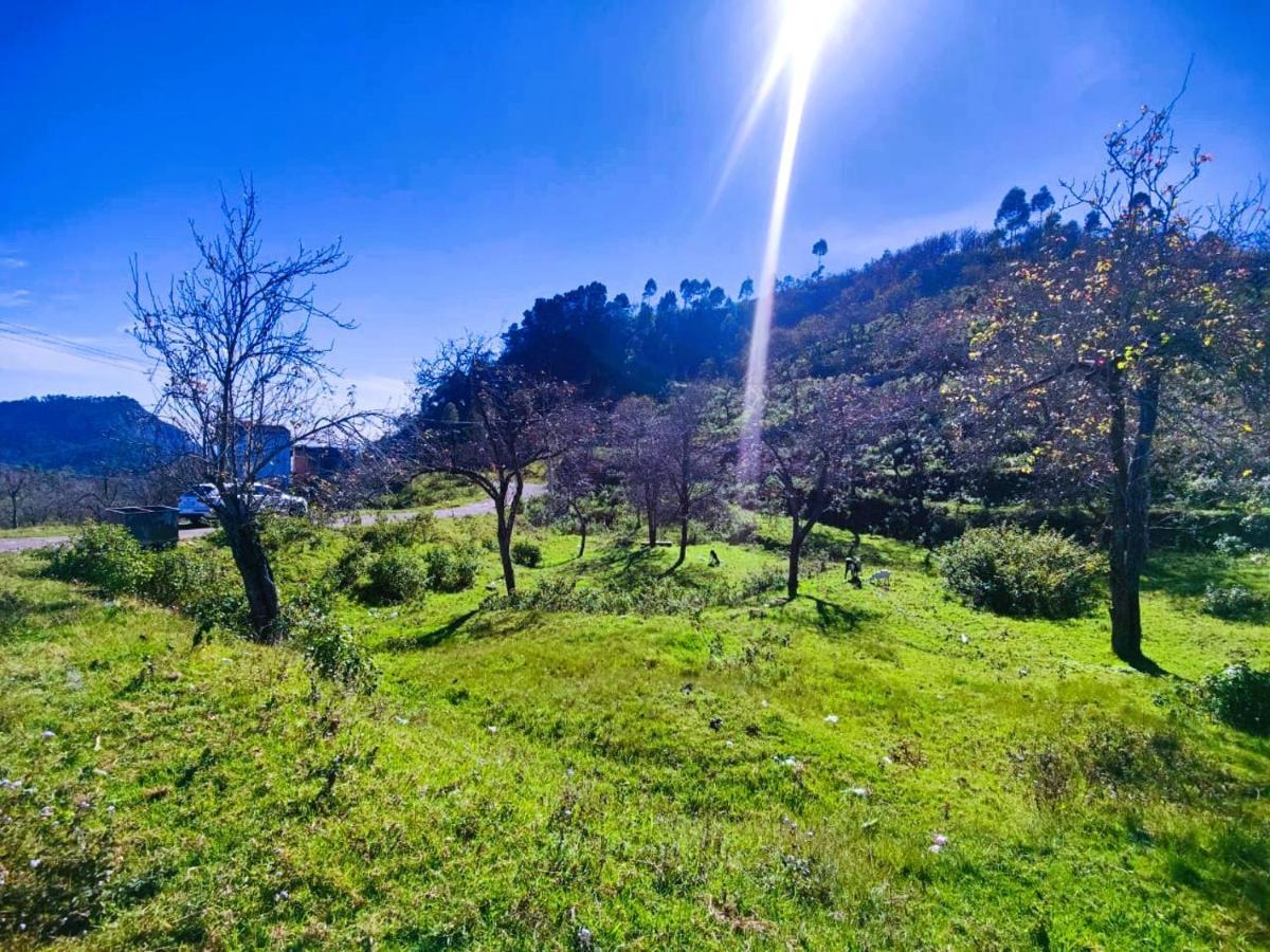 Salora Kodai โกไดกานัล ภายนอก รูปภาพ