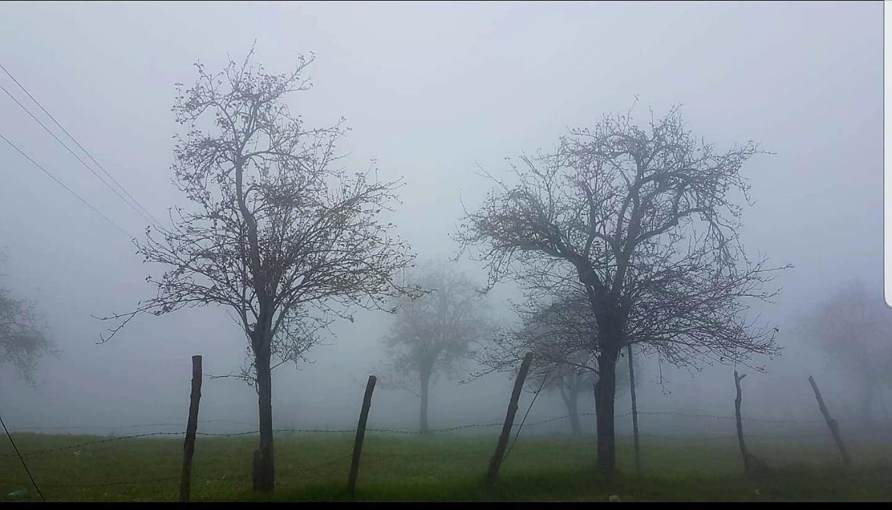 Salora Kodai โกไดกานัล ภายนอก รูปภาพ